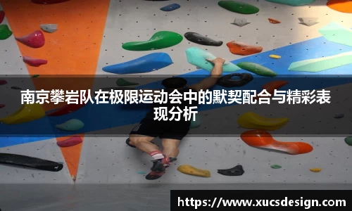 南京攀岩队在极限运动会中的默契配合与精彩表现分析